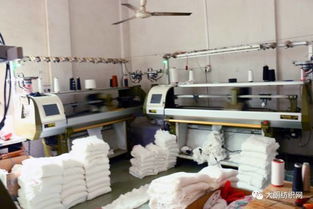 志豐針織時裝廠 專業印花毛衣系列，歡迎來樣來圖訂貨